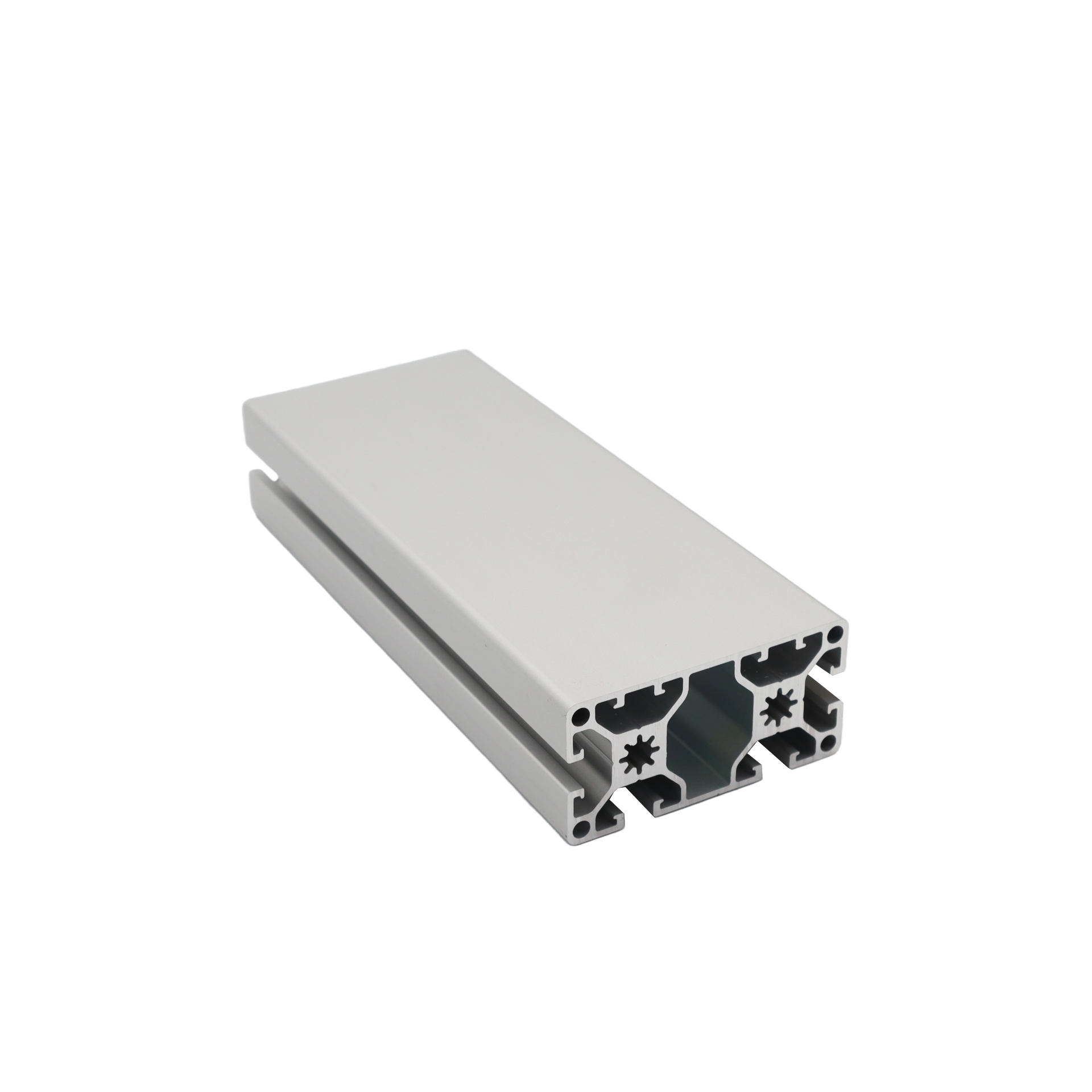 Alu profiel 40 x 80L - 2N